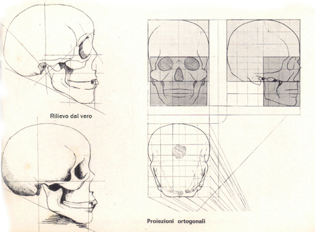 Antropometria